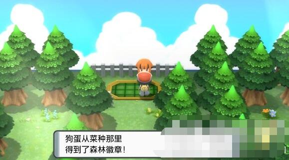 ポケモンクリスタルダイヤモンドブライトパール居合裂きの入手方法