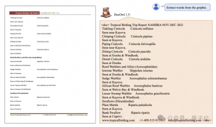 Alibaba 7B multi-modal document understanding large model wins new SOTA