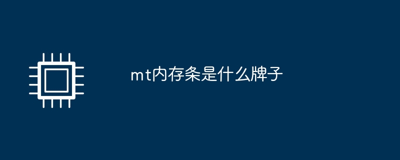 mt記憶體條是什麼牌子