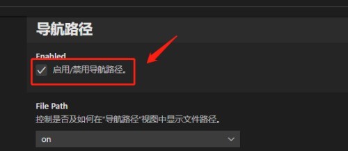 Vscode怎么启用导航路径_Vscode启用导航路径教程