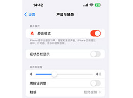 小技巧：在 iPhone 15 Pro 系列機型中隱藏靜音圖標