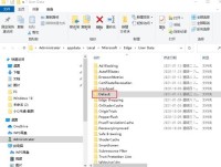 microsoft edge怎么删除默认用户配置文件_microsoft edge删除默认用户配置文件方法
