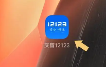 Traffic Control 12123のカメラ機能はどこにありますか?