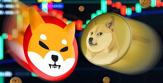 Wie viel wird eine Shiba Inu-Münze im Jahr 2024 kosten?