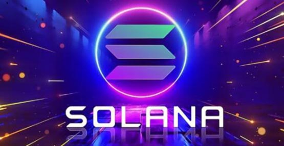 一文搞清楚Solana链上什么币是龙头？