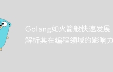 Golang如火箭般快速发展:解析其在编程领域的影响力