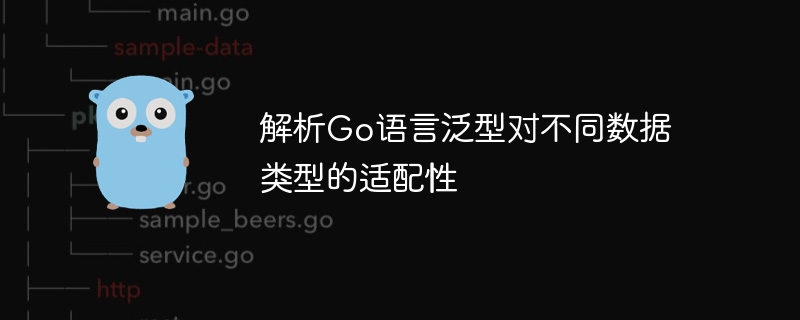 Go 言語のジェネリックスのさまざまなデータ型への適応性を分析する