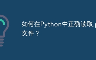 Python で .py ファイルを正しく読み取るにはどうすればよいですか?