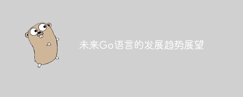 未来Go语言的发展趋势展望-Golang-