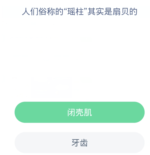 蚂蚁森林神奇海洋4月4日：人们俗称的瑶柱其实是扇贝的