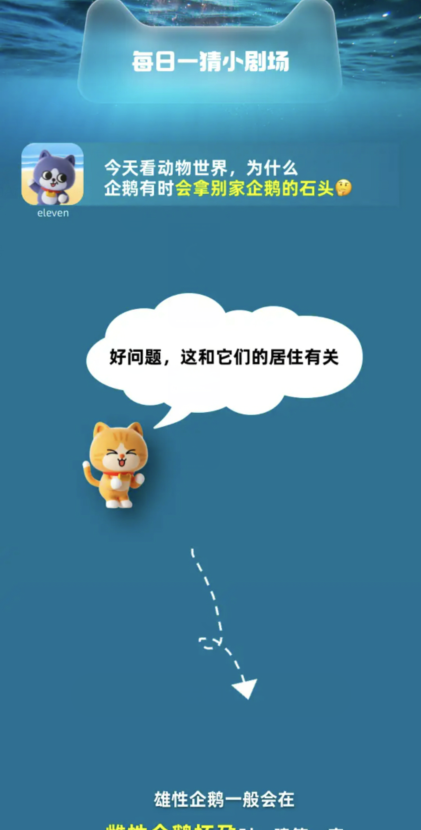 Taobao Big Winner April 7: Why do penguins sometimes take stones from other penguins?