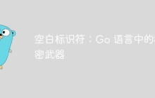 空白标识符：Go 语言中的秘密武器