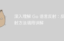深入理解 Go 语言反射：反射方法调用详解