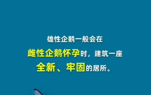 淘宝網日報 4 月 7 日の答えを当ててください