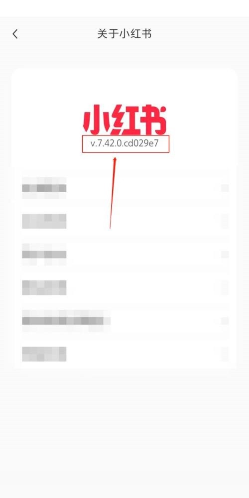 Comment vérifier le numéro de version de Xiaohongshu_Comment vérifier le numéro de version de Xiaohongshu