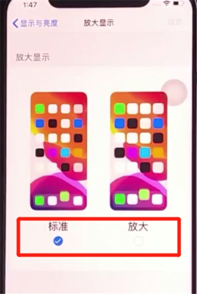 iphone11更改图标大小基本方法