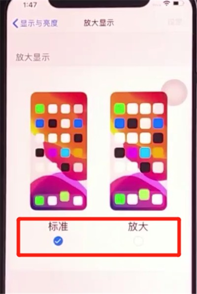 Basic method to change icon size on iPhone 11