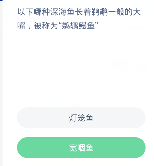 蚂蚁森林神奇海洋4月7日：以下哪种深海鱼长着鹈鹕一般的大嘴被称为弟鹈鹕鳗鱼