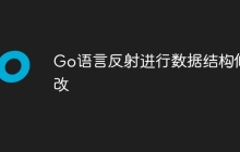 Go语言反射进行数据结构修改