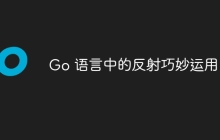 Go 语言中的反射巧妙运用