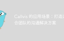 Callvis 的应用场景:打造适合团队的沟通解决方案