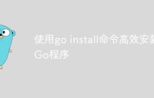 使用go install命令高效安装Go程序