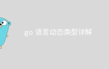 go 语言动态类型详解