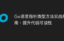 Go语言指针类型方法实战指南,提升代码可读性
