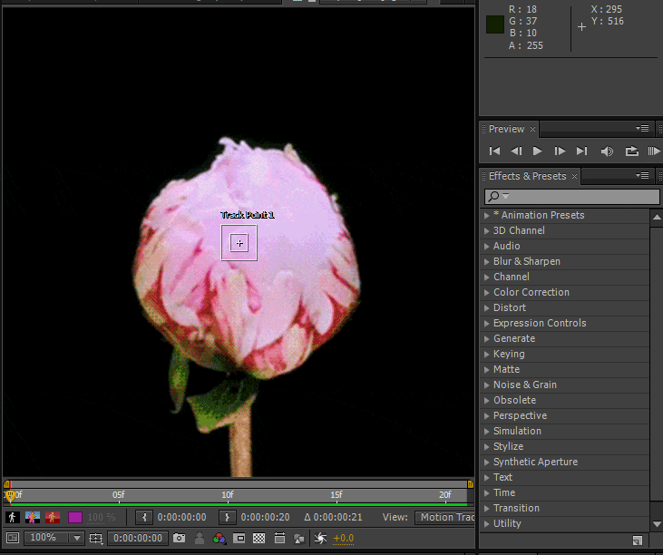 Graphic and text method for creating flower blossom animation in AE