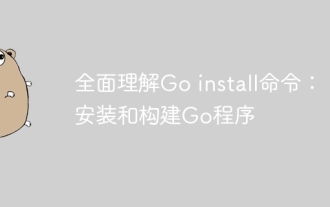 Go install コマンドの包括的な理解: Go プログラムのインストールとビルド
