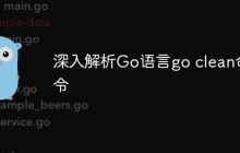深入解析Go语言go clean命令