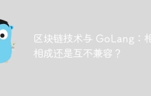 区块链技术与 GoLang：相辅相成还是互不兼容？