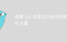 探索 Go 语言空白标识符的潜在力量