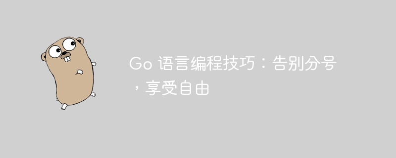 Go 语言编程技巧：告别分号，享受自由