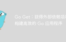 Go Get:获得外部依赖项以构建高效的 Go 应用程序
