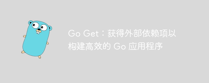 Go Get：获得外部依赖项以构建高效的 Go 应用程序