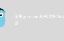 使用go clean轻松维护Go项目