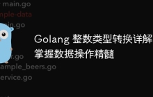 Golang 整数类型转换详解：掌握数据操作精髓