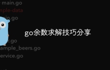 go余数求解技巧分享