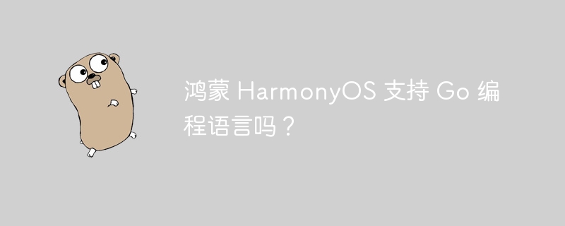 鸿蒙 HarmonyOS 支持 Go 编程语言吗？-Golang-