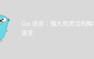 Go language: a powerful and flexible scripting language