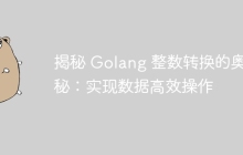 揭秘 Golang 整数转换的奥秘:实现数据高效操作