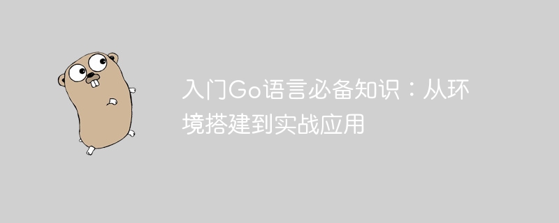 入门Go语言必备知识：从环境搭建到实战应用