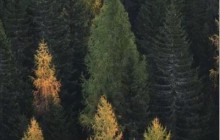 魅族18pro怎么设置桌面壁纸_魅族18pro设置桌面壁纸方法