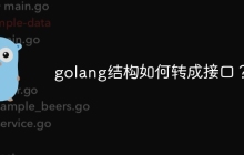 golang结构如何转成接口?