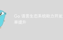 Go 语言生态系统助力开发效率提升