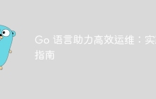 Go 语言助力高效运维：实践指南