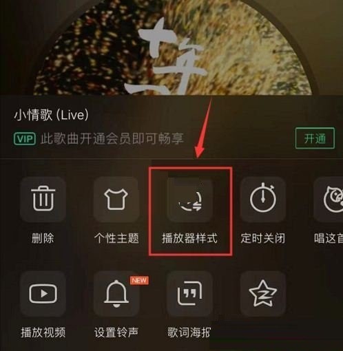 How to set up the singer photo mode player in QQ Music_Detailed tutorial on setting up the singer photo mode player in QQ Music