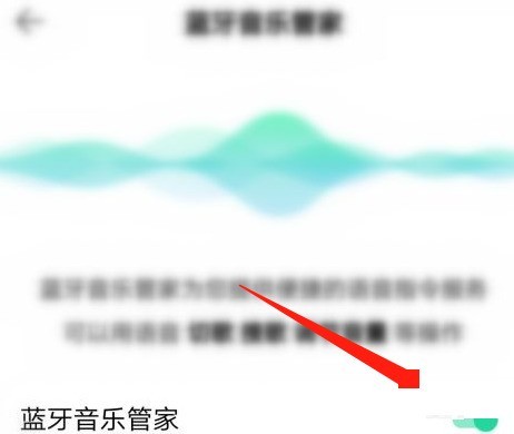 QQ Music에서 블루투스 뮤직 매니저를 끄는 방법_QQ Music에서 블루투스 뮤직 매니저를 끄는 방법에 대한 튜토리얼