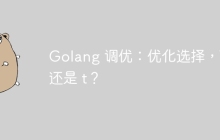 Golang 调优：优化选择，T 还是 t？